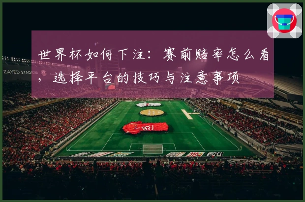 世界杯如何下注：赛前赔率怎么看，选择平台的技巧与注意事项