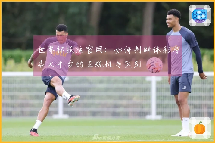 世界杯投注官网：如何判断体彩与各大平台的正规性与区别