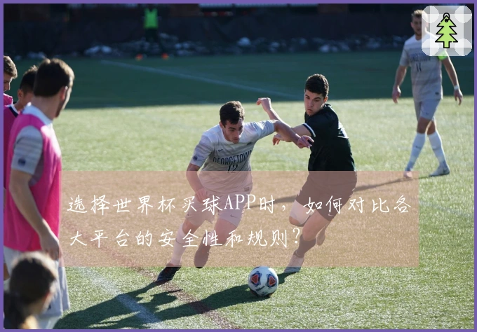 选择世界杯买球APP时，如何对比各大平台的安全性和规则？