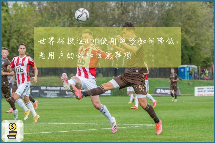 世界杯投注app使用风险如何降低，老用户的必知注意事项