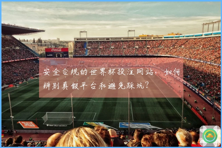 安全合规的世界杯投注网站，如何辨别真假平台和避免踩坑？