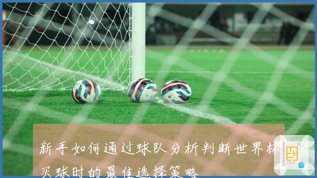 新手如何通过球队分析判断世界杯买球时的最佳选择策略
