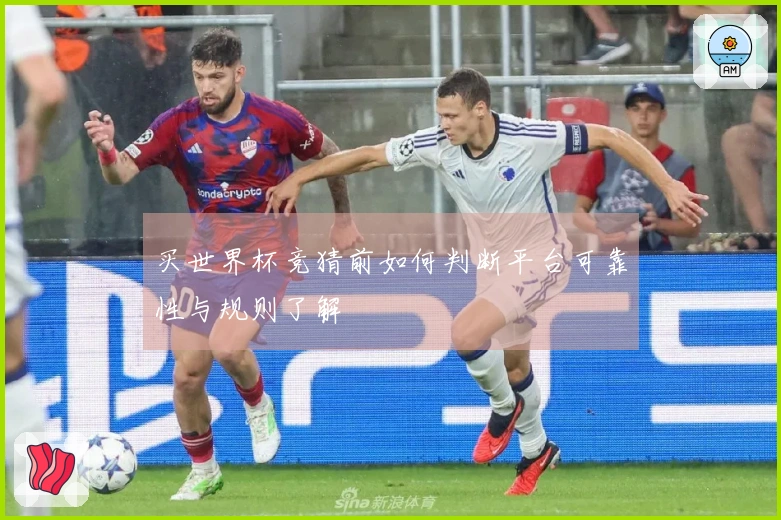买世界杯竞猜前如何判断平台可靠性与规则了解