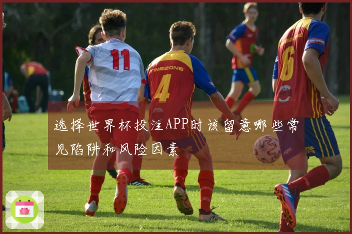 选择世界杯投注APP时该留意哪些常见陷阱和风险因素