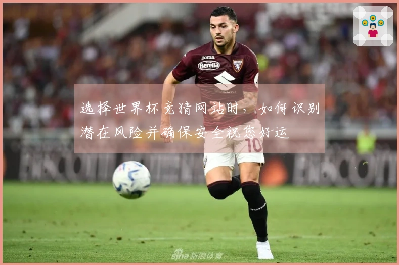 选择世界杯竞猜网站时，如何识别潜在风险并确保安全祝您好运