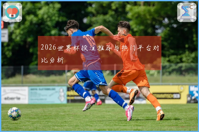2026世界杯投注推荐与热门平台对比分析