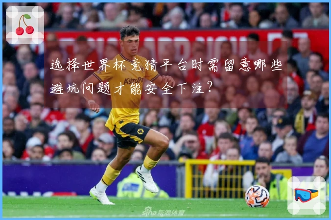 选择世界杯竞猜平台时需留意哪些避坑问题才能安全下注？