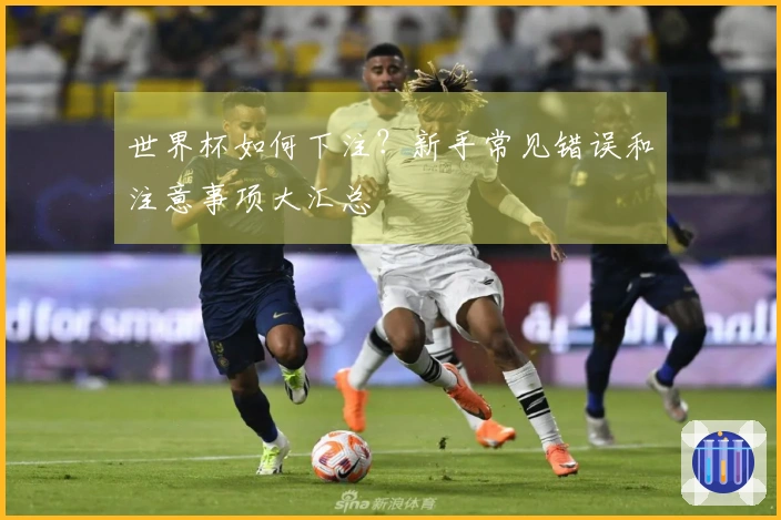 世界杯如何下注？新手常见错误和注意事项大汇总
