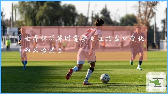 世界杯买球时需要关注的盘口变化和风险提示