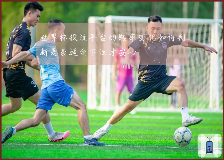 世界杯投注平台的赔率变化如何判断是否适合下注才安心
