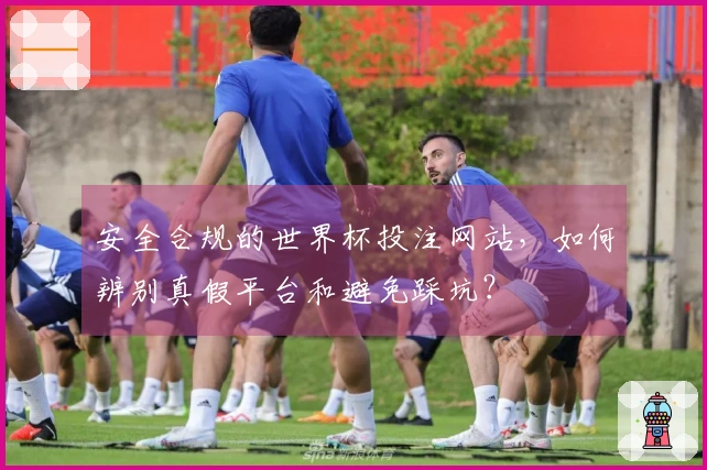 安全合规的世界杯投注网站，如何辨别真假平台和避免踩坑？