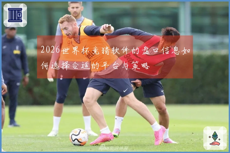 2026世界杯竞猜软件的盘口信息如何选择合适的平台与策略