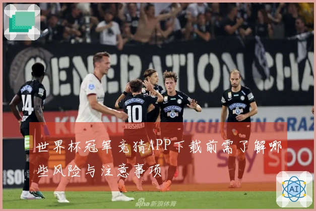 世界杯冠军竞猜APP下载前需了解哪些风险与注意事项