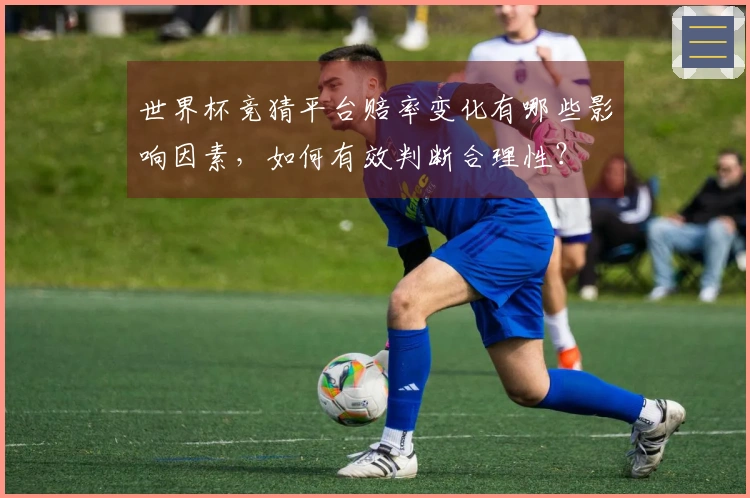 世界杯竞猜平台赔率变化有哪些影响因素，如何有效判断合理性？