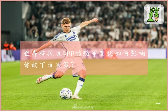 世界杯投注app的赔率变化如何影响你的下注决策？