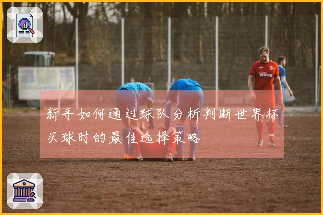 新手如何通过球队分析判断世界杯买球时的最佳选择策略