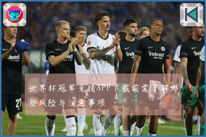 世界杯冠军竞猜APP下载前需了解哪些风险与注意事项