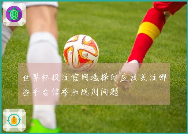 世界杯投注官网选择时应该关注哪些平台信誉和规则问题