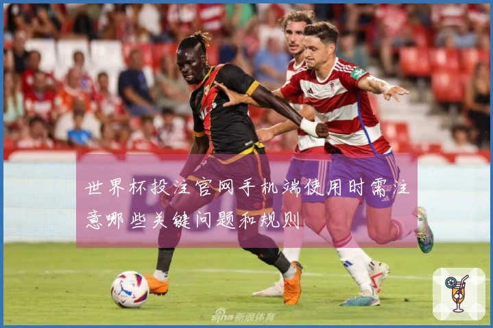 世界杯投注官网手机端使用时需注意哪些关键问题和规则