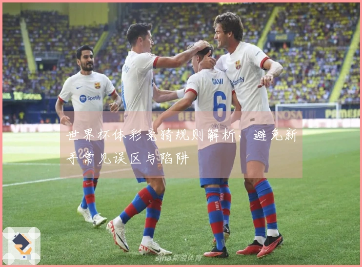 世界杯体彩竞猜规则解析，避免新手常见误区与陷阱