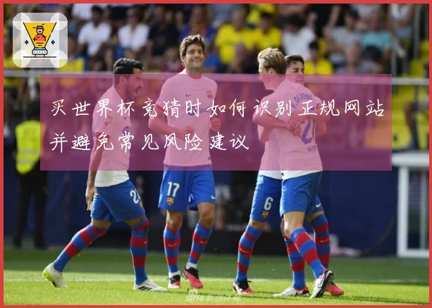 买世界杯竞猜时如何识别正规网站并避免常见风险建议