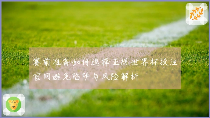 赛前准备如何选择正规世界杯投注官网避免陷阱与风险解析