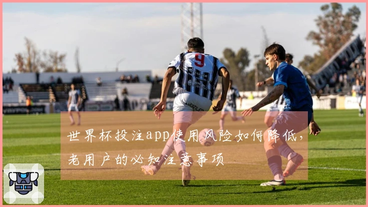 世界杯投注app使用风险如何降低，老用户的必知注意事项